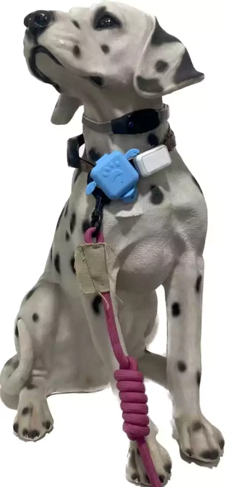 G638G industrial IoT module mounted on dog collar with zip ties — pet tracking field example